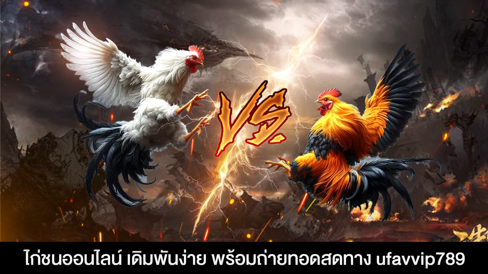 ไก่ชนออนไลน์